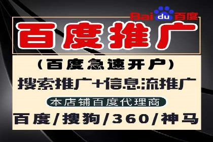 SEM运营公司成功案例解析